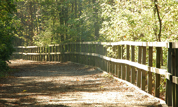 paint-creek-trail-7942